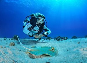 Cours Instructeur PADI (IDC)